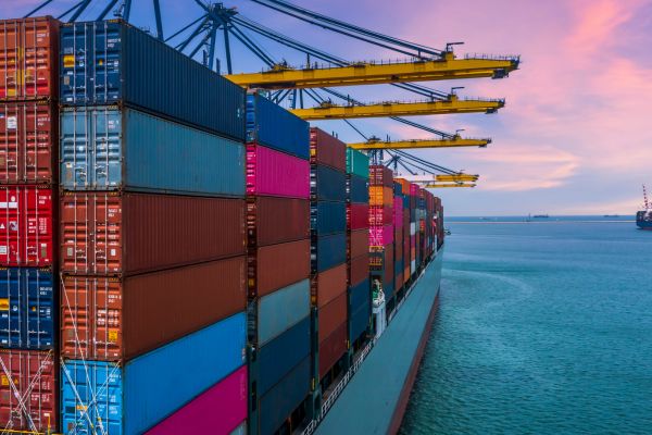 Export and import compliance for businesses